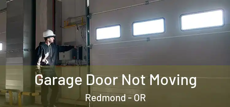  Garage Door Not Moving Redmond - OR