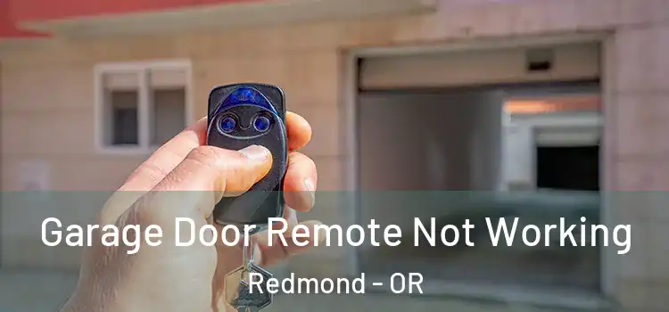 Garage Door Remote Not Working Redmond - OR
