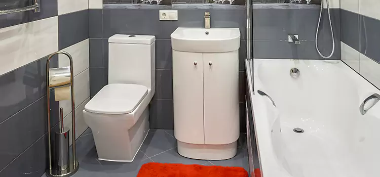 Hansgrohe Shaving Mirror Redmond