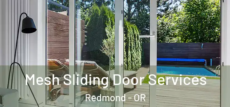 Mesh Sliding Door Services Redmond - OR